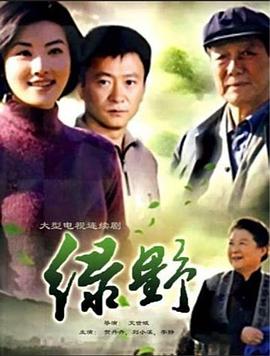 不方便的记忆 封面图